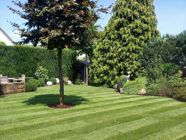 Perfekt verlegter Rollrasen durch die Rollrasen-Profis