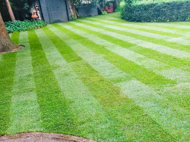 Perfekt verlegter Rollrasen durch die Rollrasen-Profis