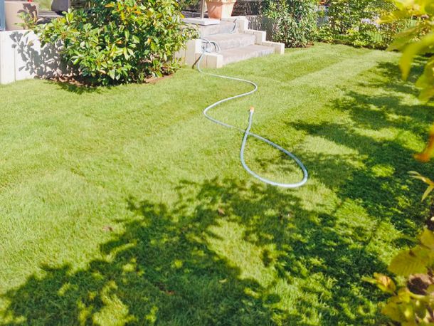 Perfekt verlegter Rollrasen durch die Rollrasen-Profis