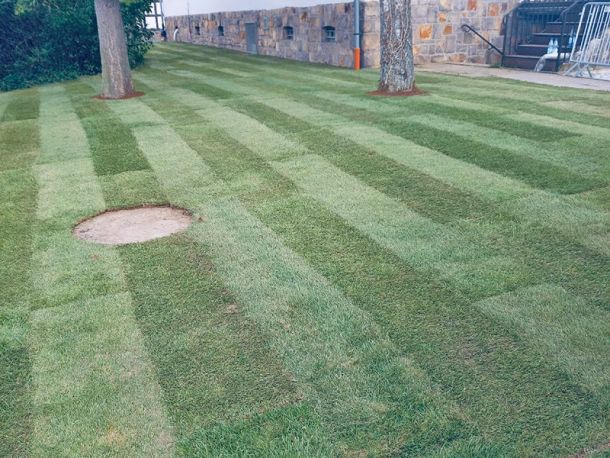 Perfekt verlegter Rollrasen durch die Rollrasen-Profis
