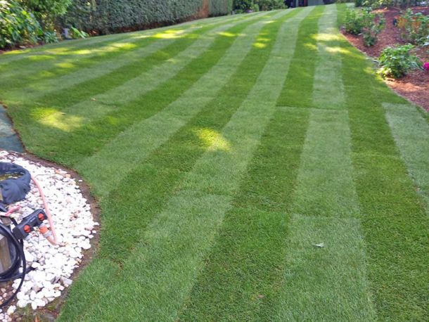 Perfekt verlegter Rollrasen durch die Rollrasen-Profis