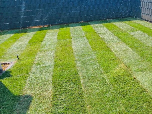 Perfekt verlegter Rollrasen durch die Rollrasen-Profis