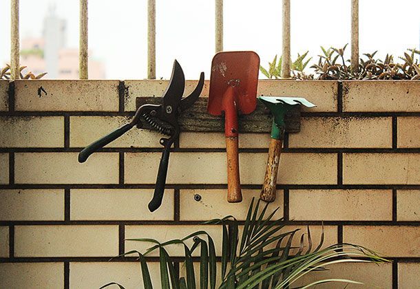 Garten- und Landschaftsbau mit den Experten der Rollrasen-Profis