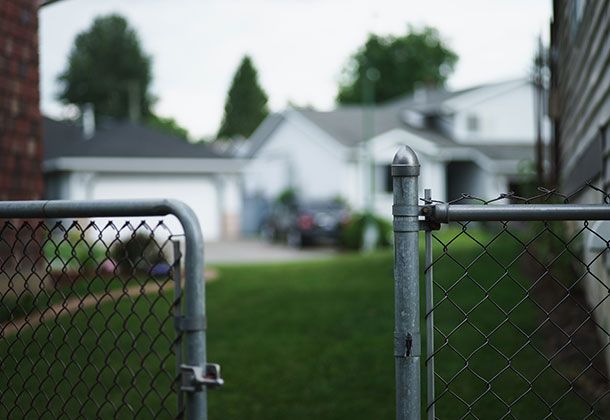 Immer die passende Rasensorte bei Rollrasen-Profis