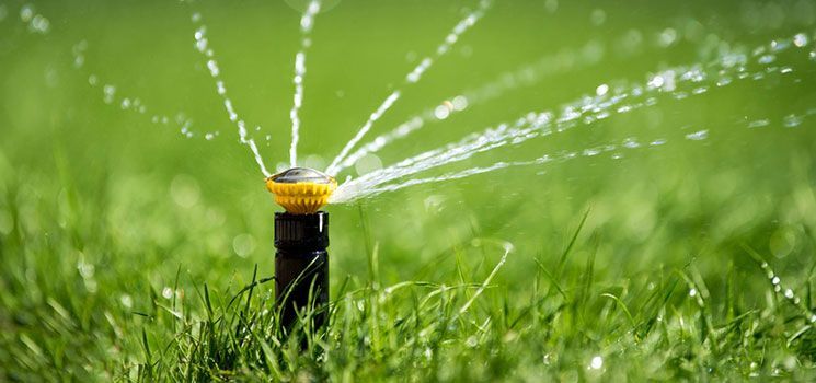 Bewässerungssysteme von den Rollrasen-Profis