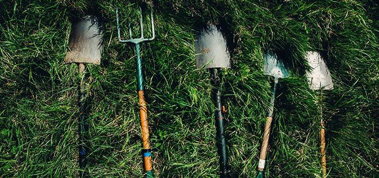 Garten- und Landschaftsbau mit den Experten der Rollrasen-Profis