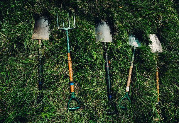 Installation von Mährobotern durch die Rollrasen-Profis