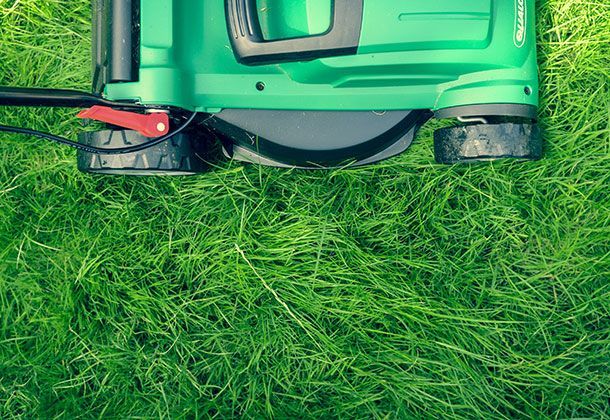 Tipps der Rollrasen-Profis zum richtigen Rasenmähen